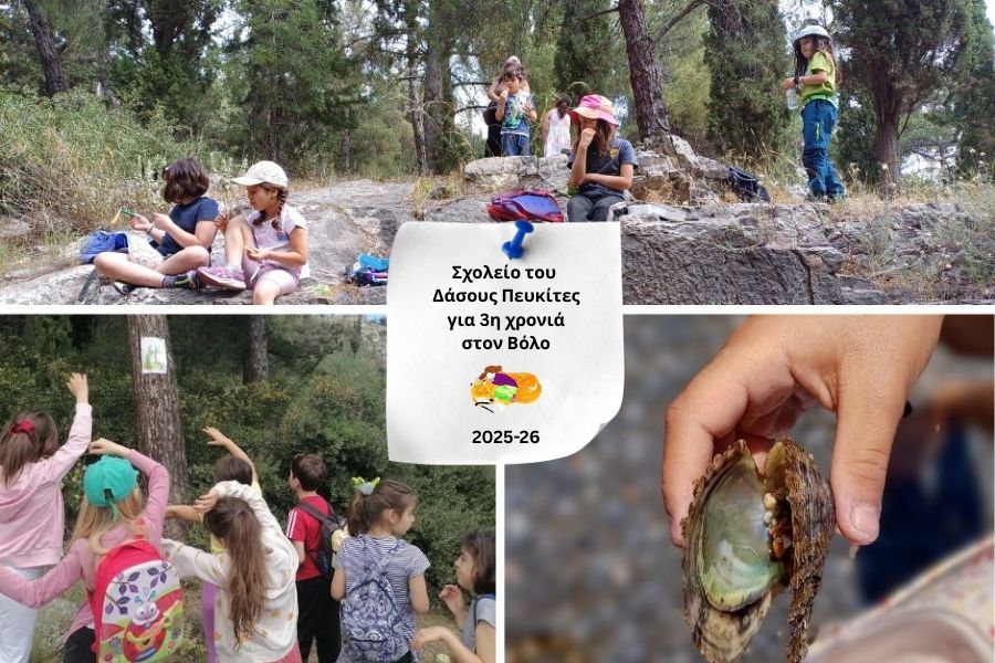 Ομάδες του Δάσους “Πευκίτες” στον Βόλο