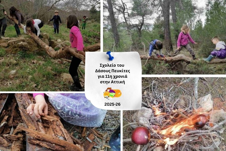 Σχολείο του Δάσους Πευκίτες στην Αττική